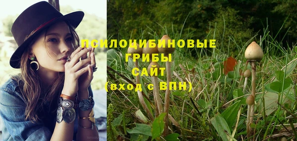 ПСИЛОЦИБИНОВЫЕ ГРИБЫ Верхний Тагил