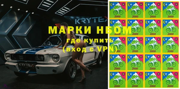 ПСИЛОЦИБИНОВЫЕ ГРИБЫ Верхний Тагил