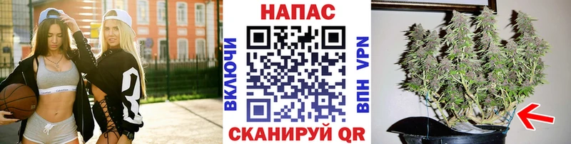 Бошки Шишки AK-47  продажа наркотиков  Йошкар-Ола 